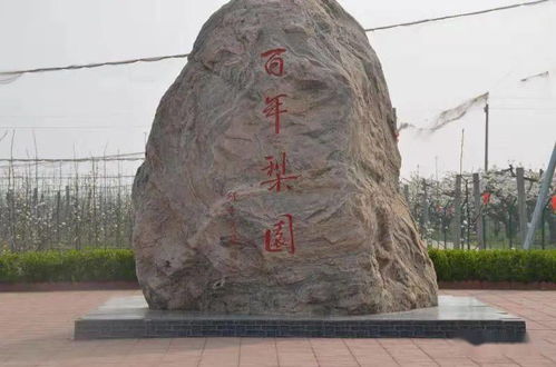 7月1日起,這類車停產(chǎn) 禁售 夏季納涼好去處 衡水兩條線路被省里推薦